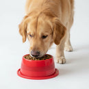 Comedouro Pet Anti Formiga 1000ml Ergonômico – Proteção e Conforto para Cães e Gatos