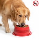 Comedouro Pet Anti Formiga 1000ml Ergonômico – Proteção e Conforto para Cães e Gatos